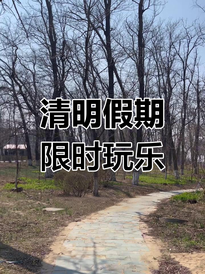 清明假期赶海之旅,鲅鱼圈旅游全攻略