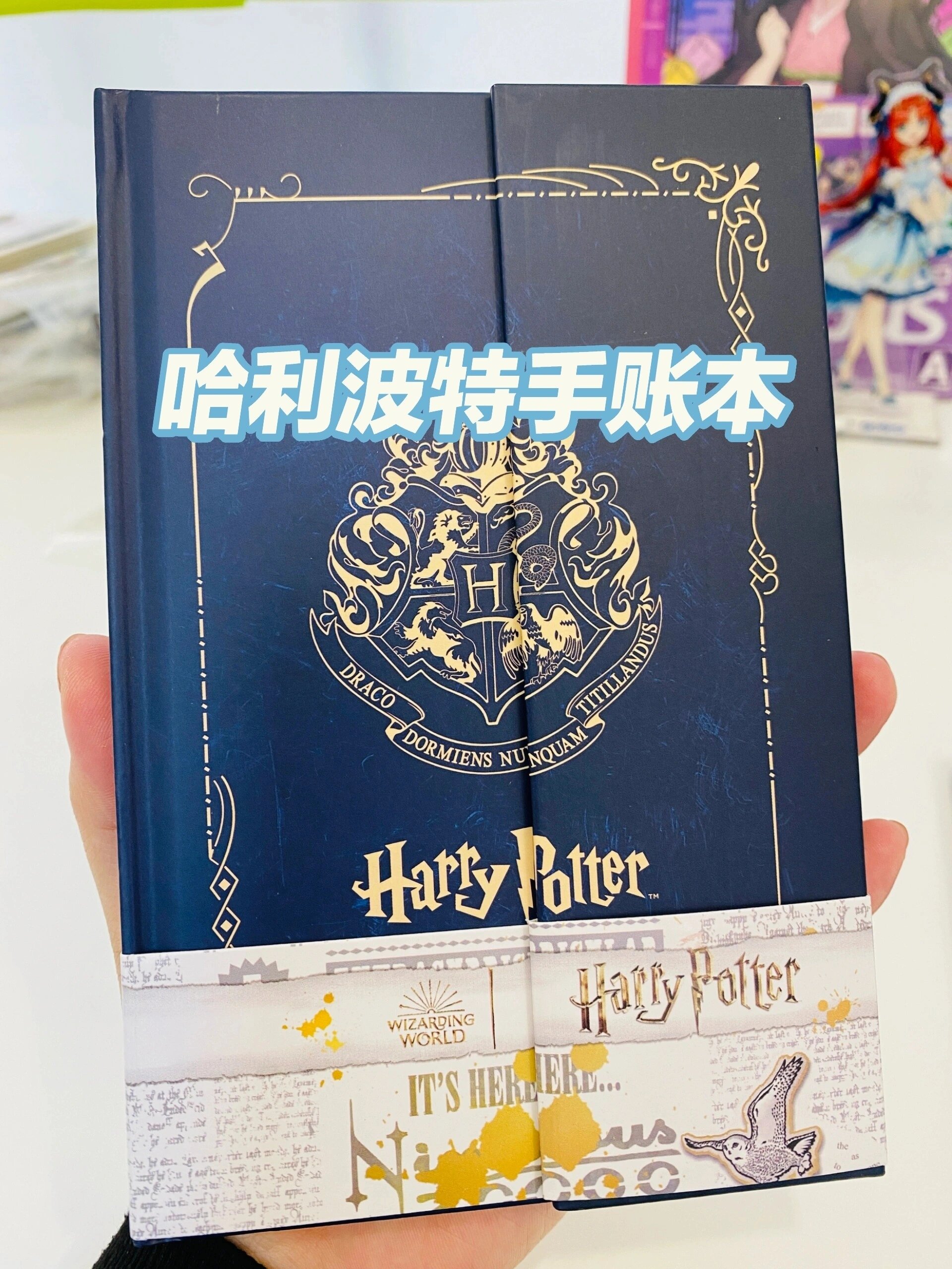 哈利波特手账本|贴纸|徽章|纪念币