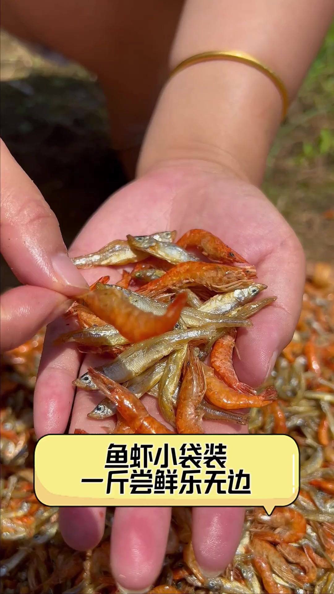 鱼虾小袋装,一斤尝鲜乐无边