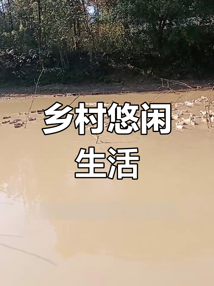 告别城市喧嚣,回乡帮朋友养鸭,月入1500轻松又稳定