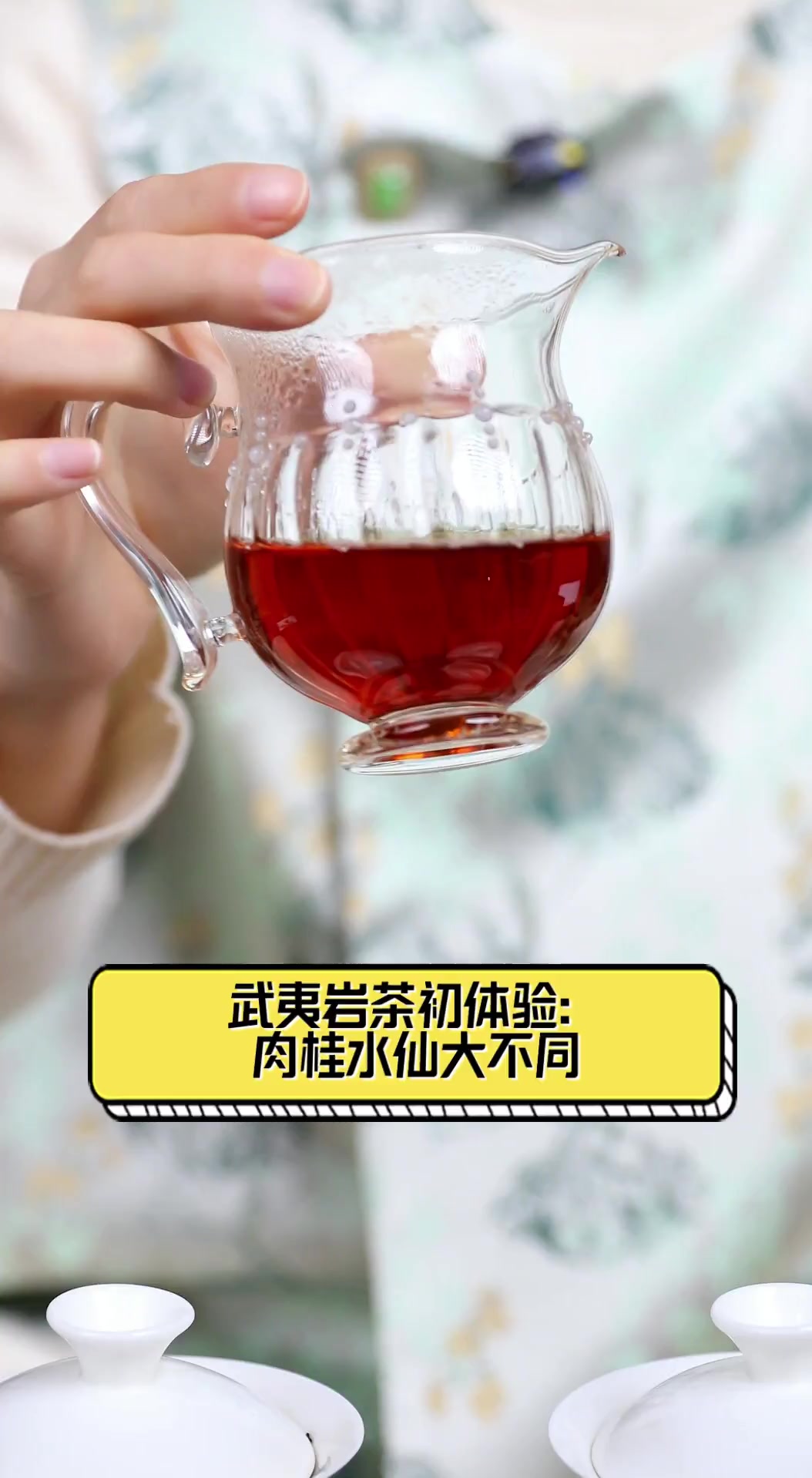武夷岩茶初体验:肉桂水仙大不同
