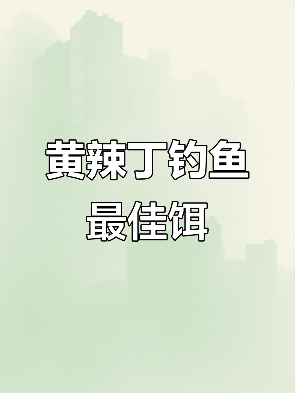 钓黄辣丁用什么饵料最有效?实测结果大揭秘