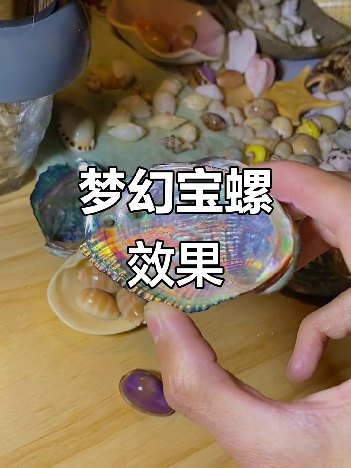 鲍鱼壳打磨后光彩夺目,梦幻色彩完美搭配珠宝拍摄