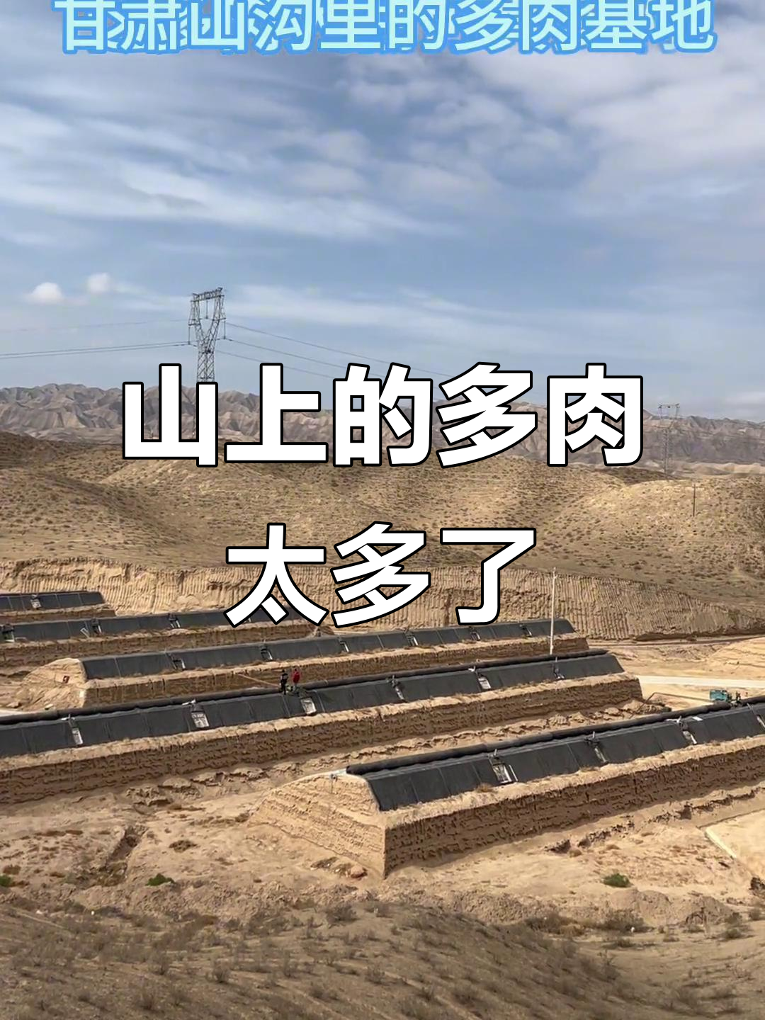 山上多肉成堆,捡不完!工人带路发现惊喜