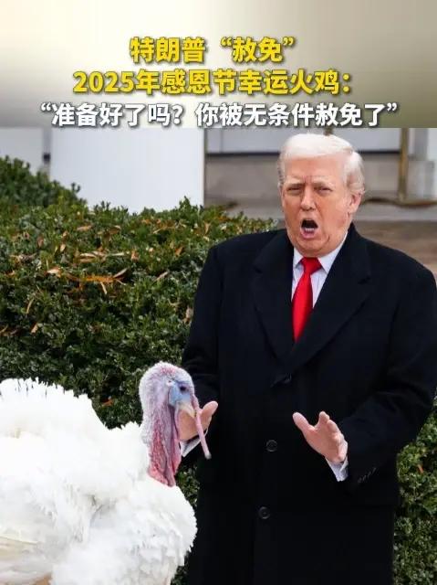 特朗普“赦免”2025年感恩节幸运火鸡：准备好了吗？你被无条件赦免了
