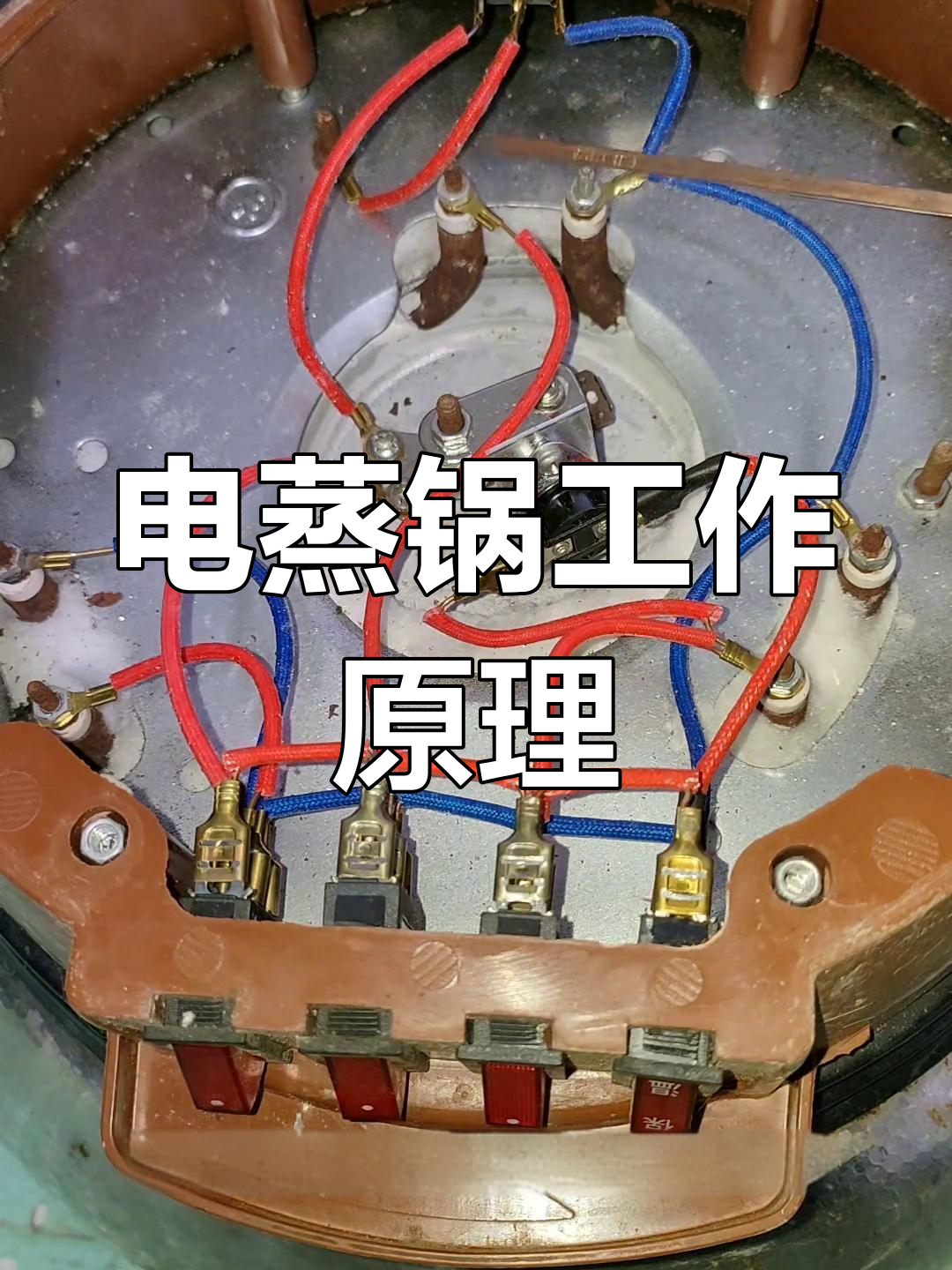 电蒸锅加热原理与温控系统解析