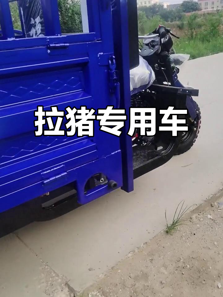 专用拉猪车,可拆卸护栏与发动机,双速箱设计更实用