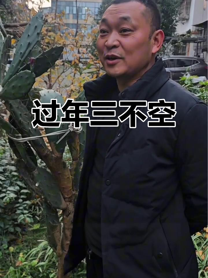 年夜饭留饭菜,初一聚齐守岁,红包带吉祥数,好运连连