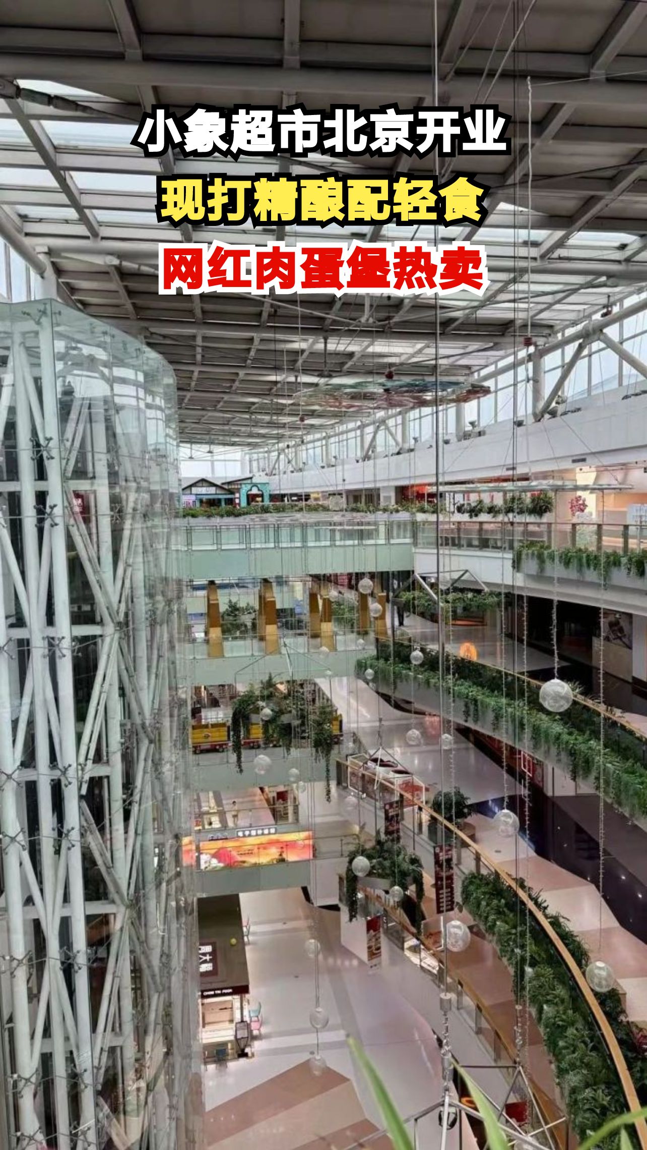 美团小象超市空降北京富人区，开业首日人潮汹涌，现打精酿和网红肉蛋堡成爆款！