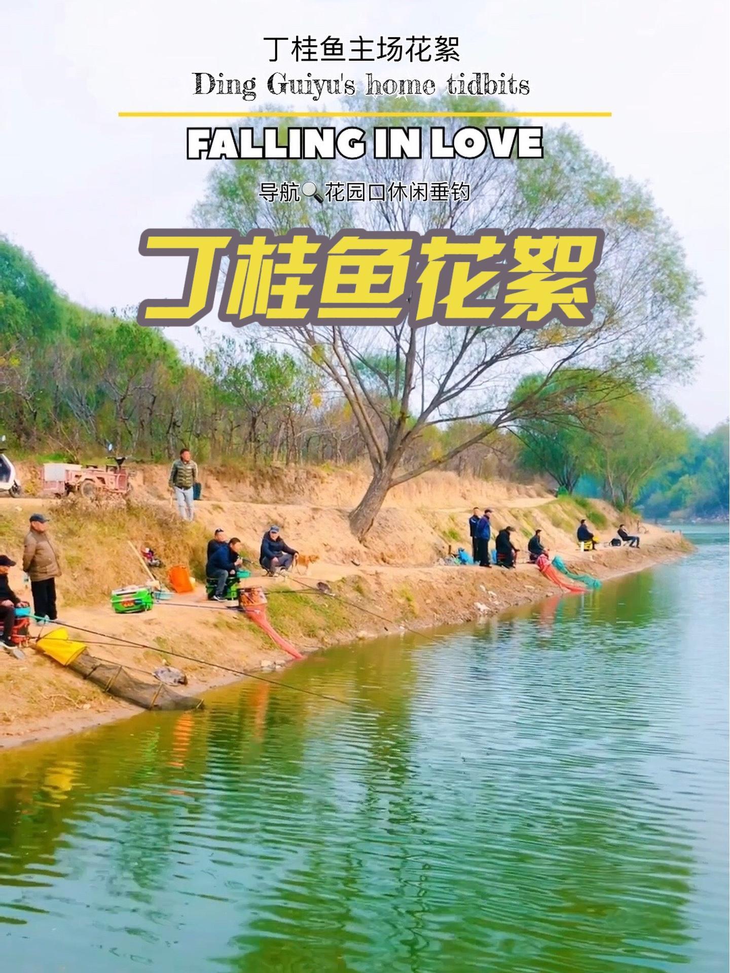 钓点推荐 现场实拍 垂钓园 放鱼 丁桂鱼 花园口休闲垂钓钓友花絮丁桂鱼