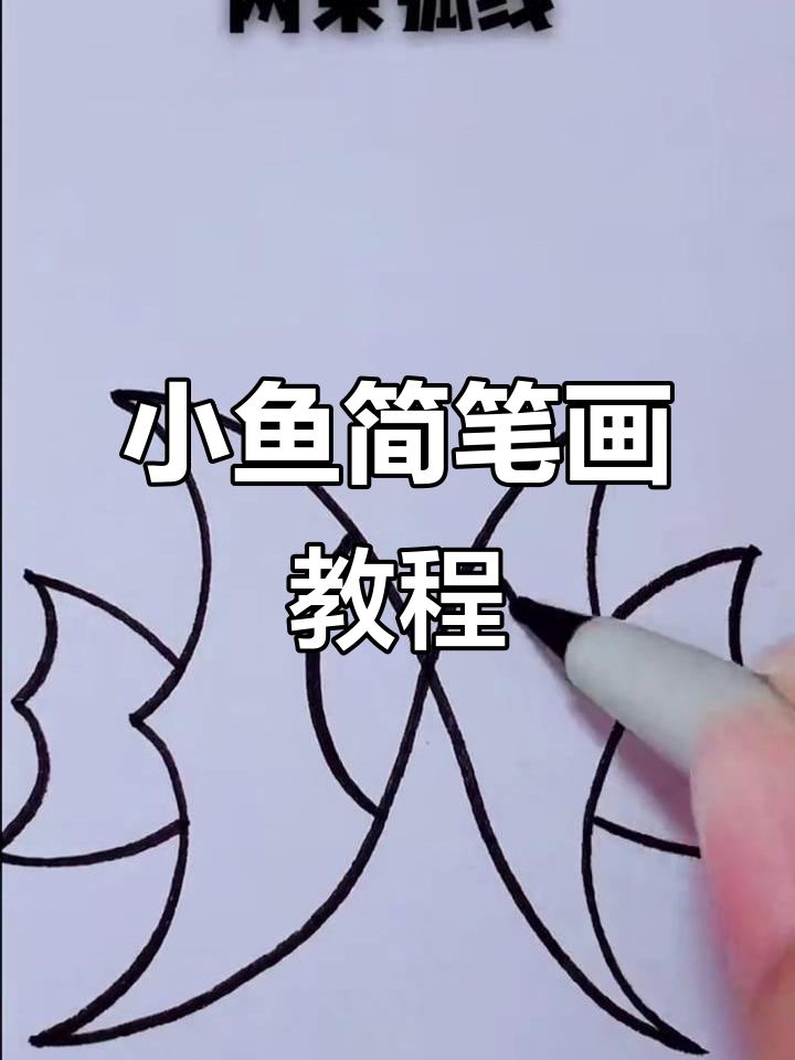 用线条和泡泡画出两只小鱼,简单又有趣!