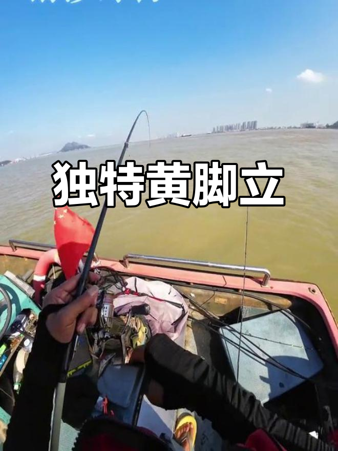 黄脚立,外形似罗非鲫鱼,但口感与营养大不相同