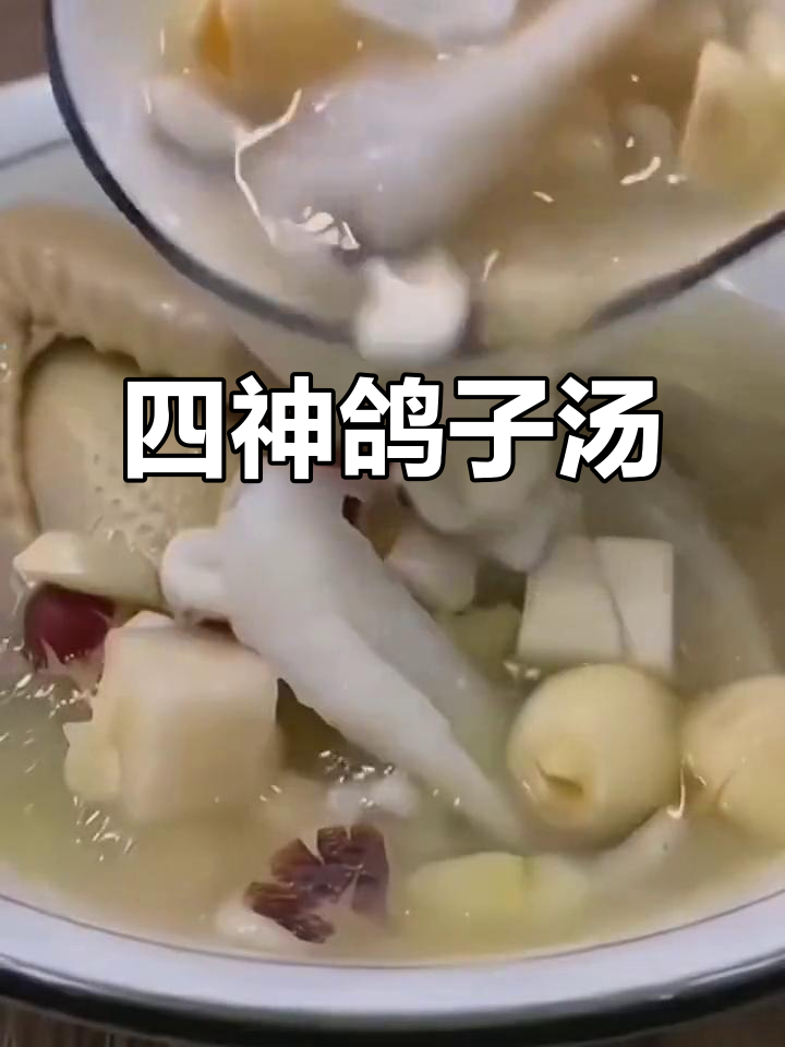 儿童脾胃调理,鸽子汤搭配四神食材效果更佳