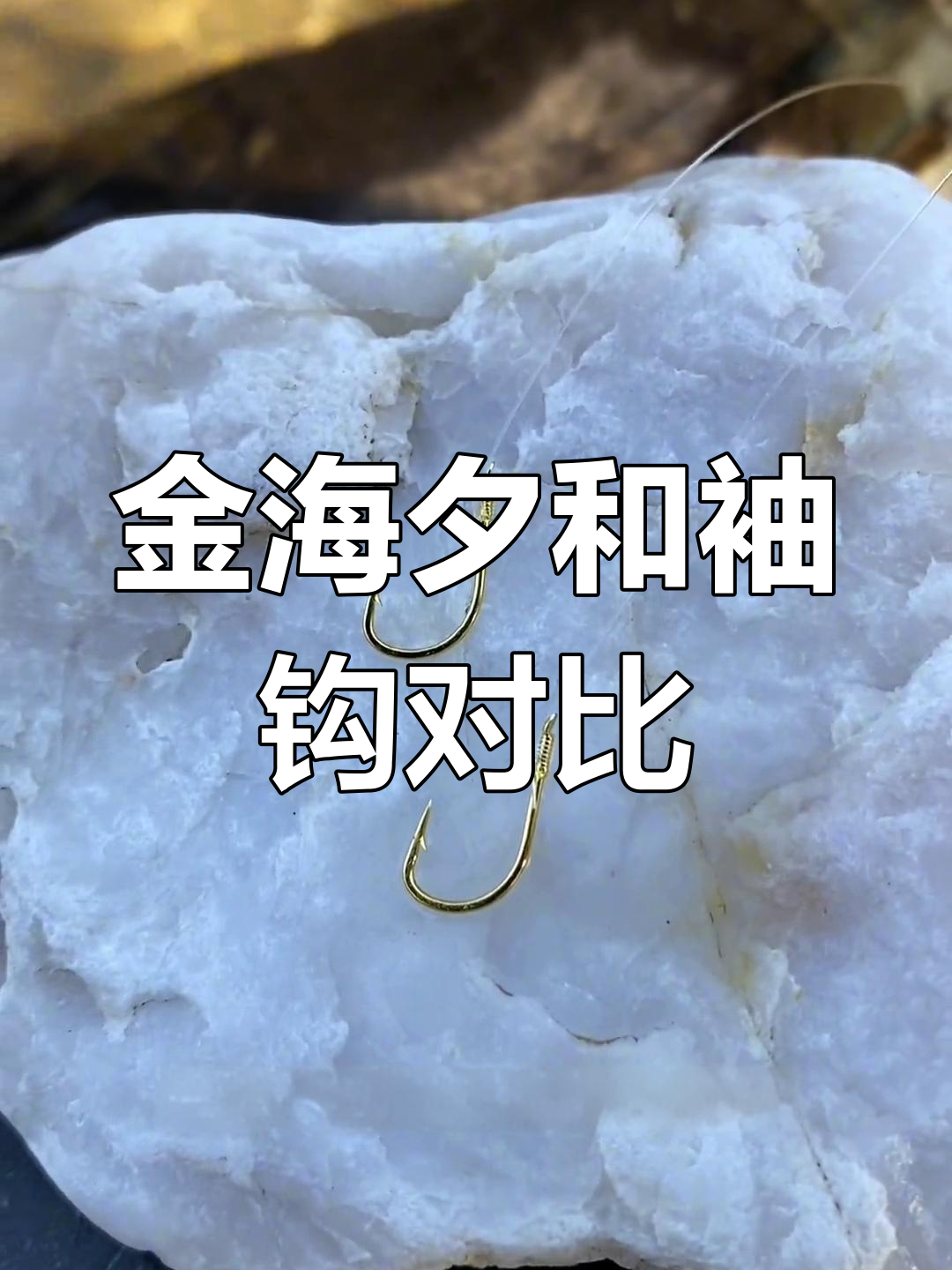 钓鱼钩选择指南:金海夕与袖钩的区别