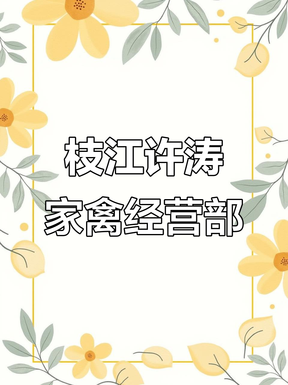 湖北枝江土鸡苗持续上新,鸭鹅也将加入