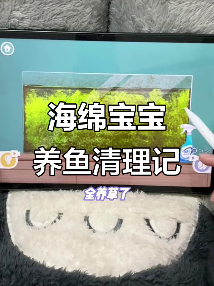 海绵宝宝鱼缸大清洁，磁吸神器和神秘工具齐出场