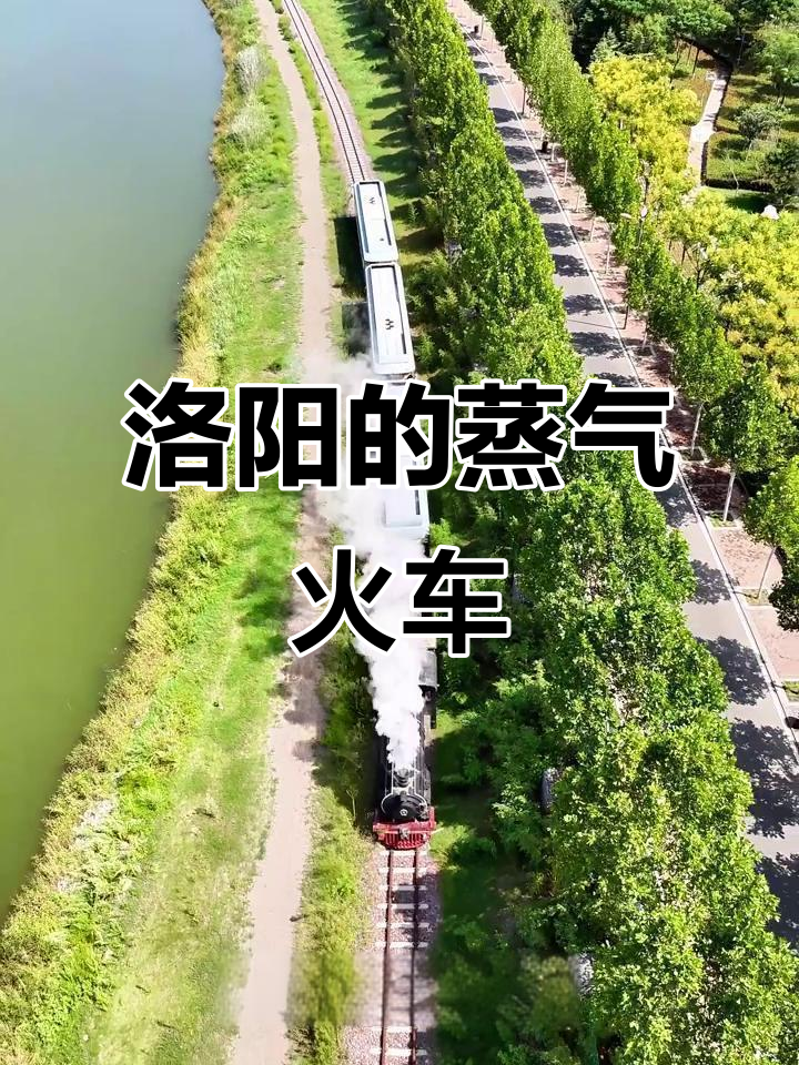 洛阳藏着全球最后的窄轨蒸汽火车,穿越百年感受古老魅力