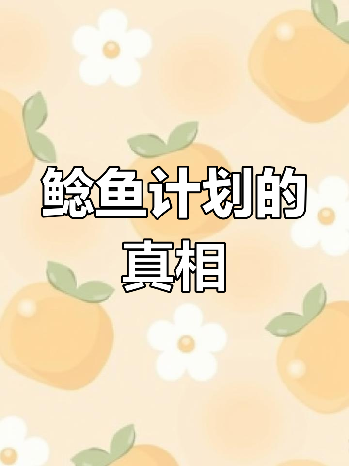 沙漠地图神秘指挥所,鲶鱼计划背后的秘密