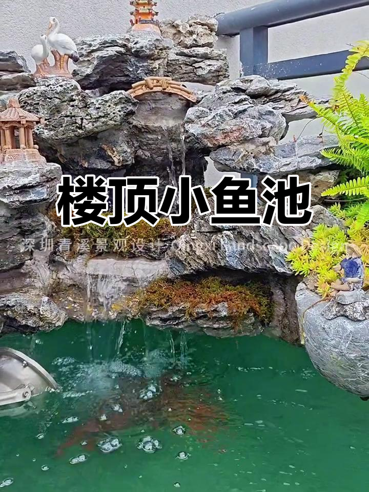 在楼顶建个小鱼池，假山流水，悠闲又精致