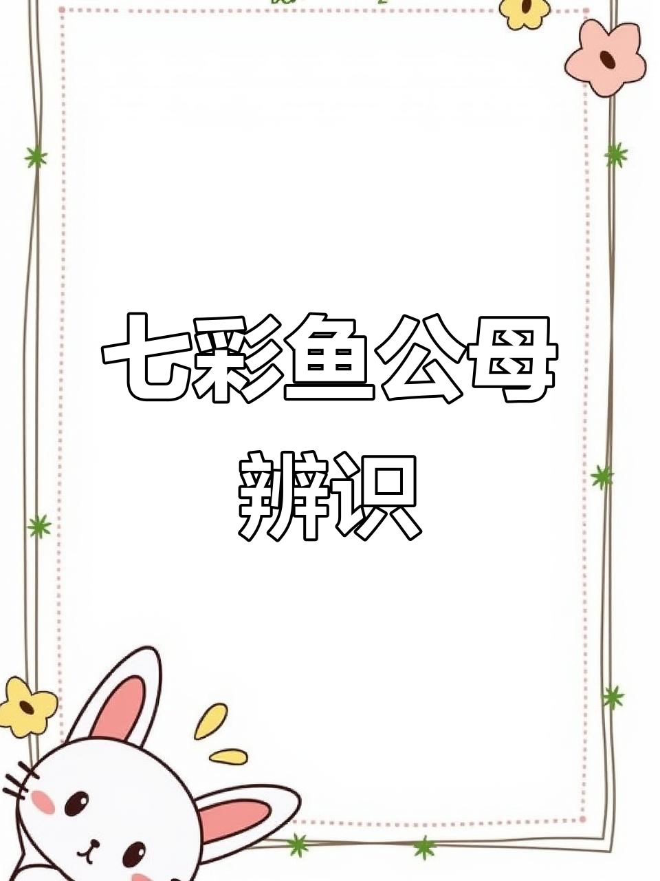 如何分辨七彩神仙鱼的公母?掌握这些技巧轻松辨别