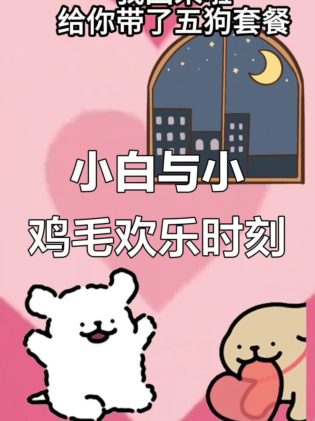 小白和小鸡毛的快乐时光,表情包超有爱