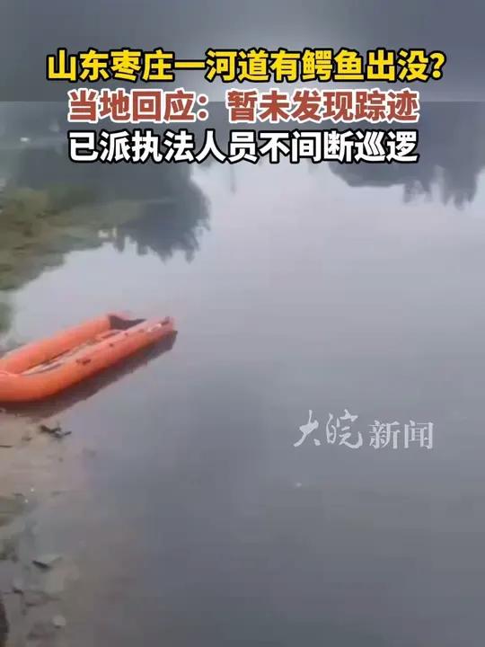 山东枣庄一河道有鳄鱼出没?当地回应:暂未发现踪迹 已派执法人员不间断巡逻