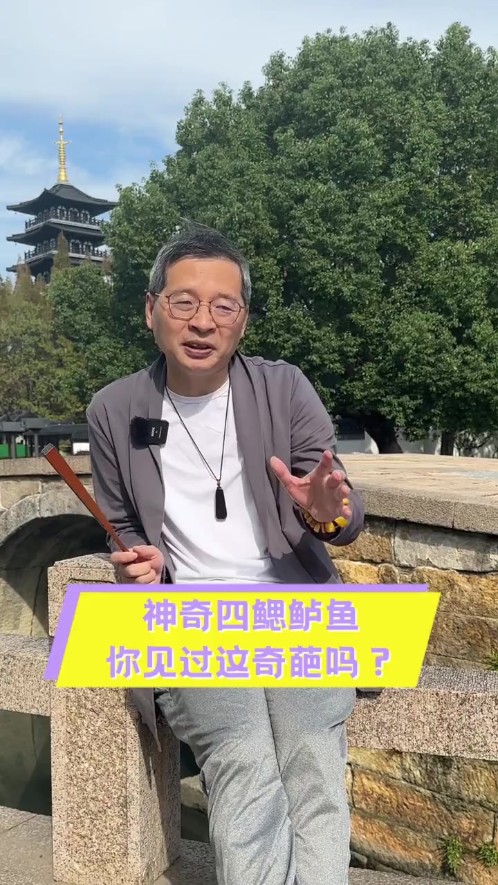 神奇四鳃鲈鱼,你见过这奇葩吗?