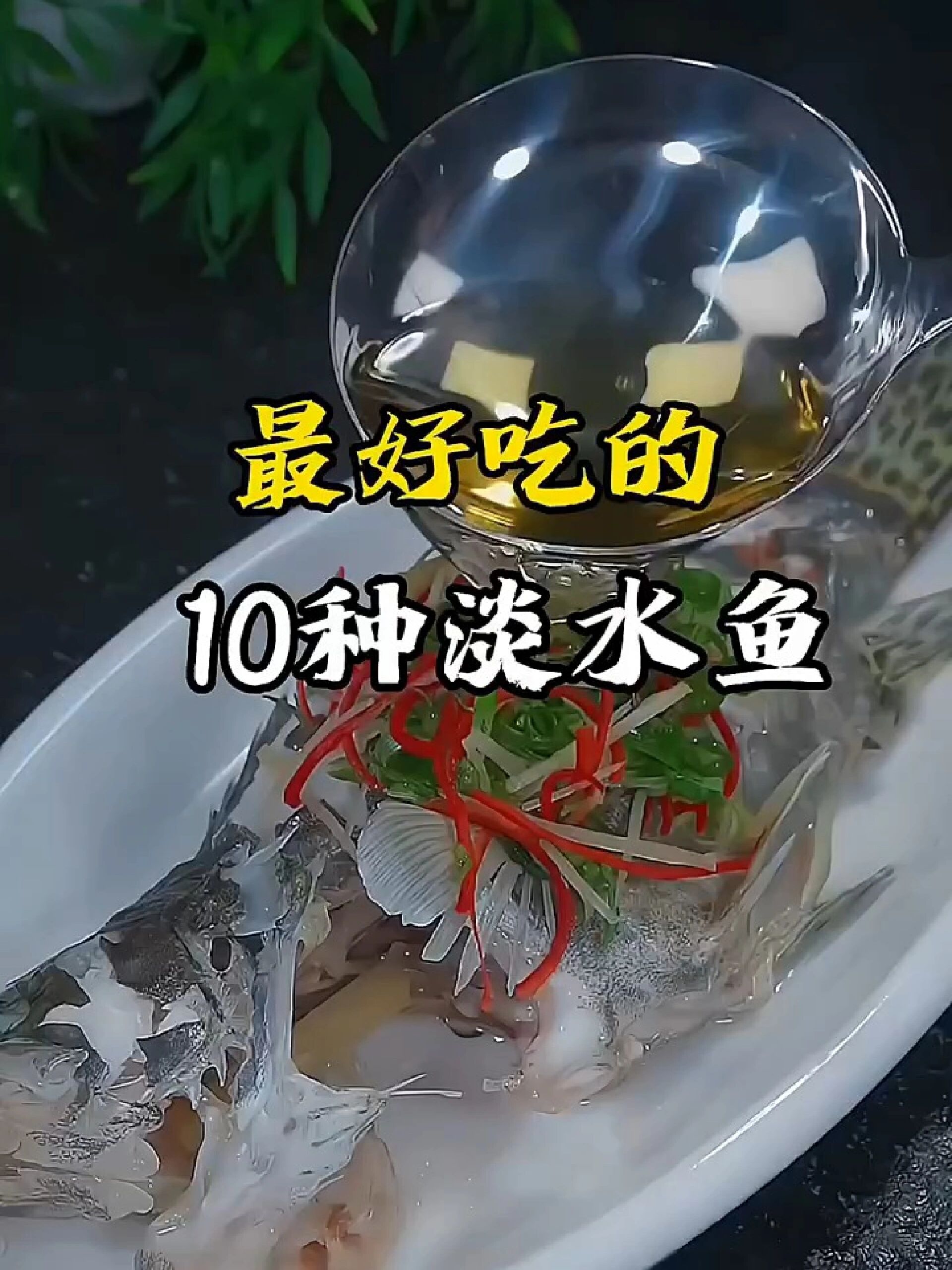 最好吃的十种淡水鱼,你最爱哪个