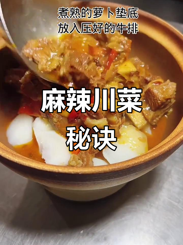麻辣川菜秘籍,红亮口感,多种菜品轻松制作!
