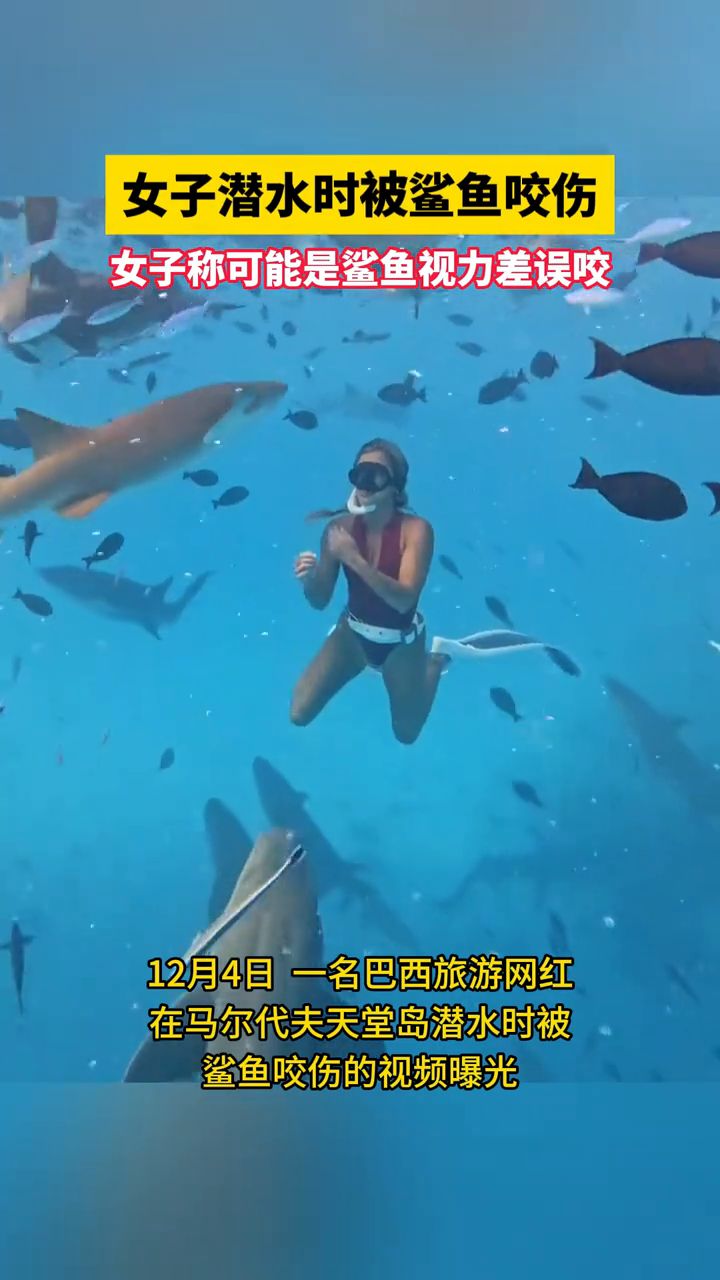 巴西女子潜水时被鲨鱼咬伤,称可能是鲨鱼视力差误咬