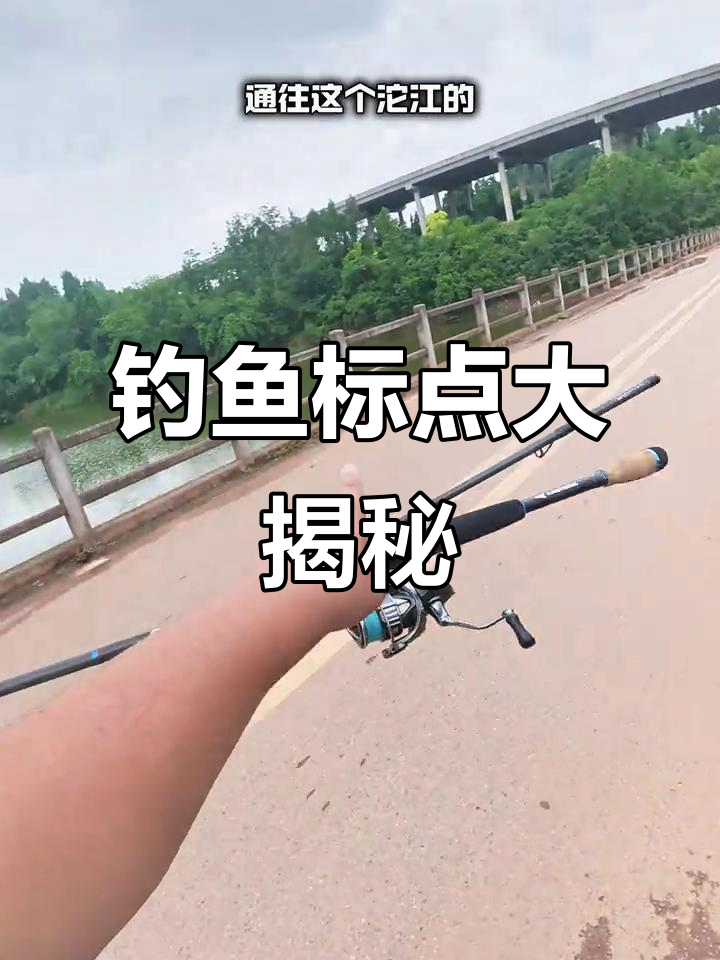 卫星地图教你轻松找到钓鱼宝地,新手必看!