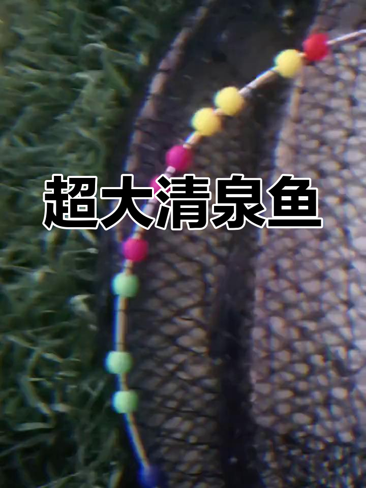 清泉水库大草鱼,狂拉四五十斤无压力