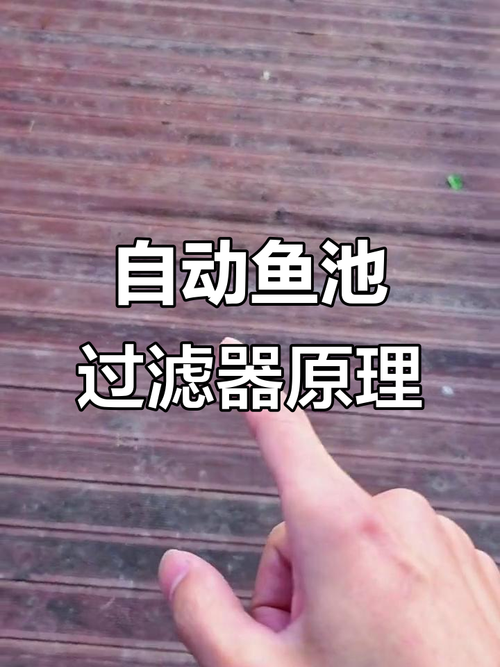 鱼池过滤系统原理解析：如何利用水压自动清污