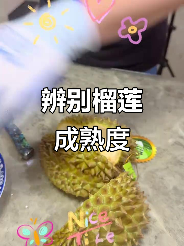 如何判断榴莲成熟度?掌握马来西亚开法,轻松挑选完美金枕头