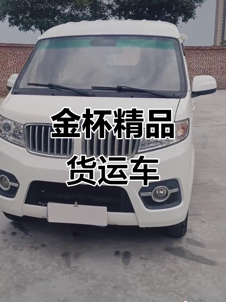 5月特惠!20年金杯小海狮油气双用车,配置全!