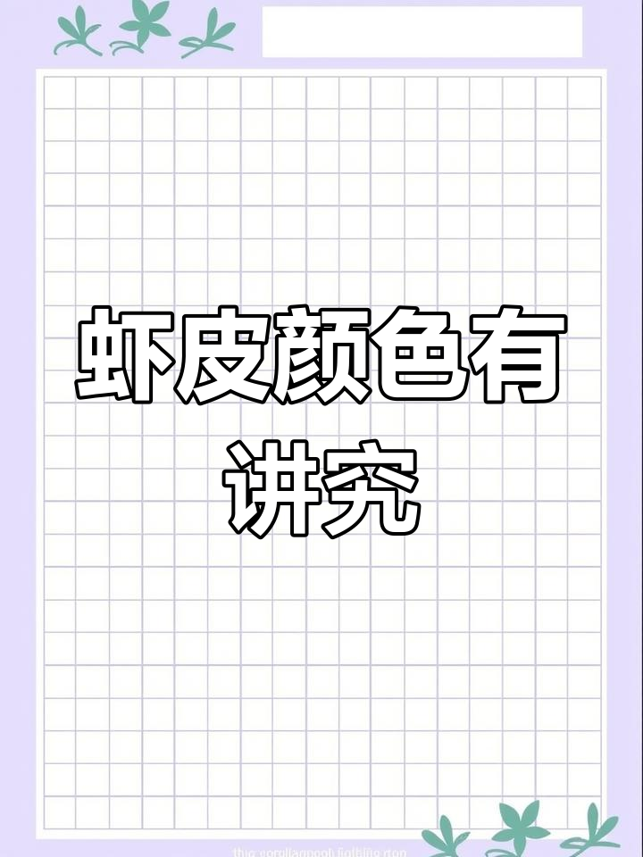 选购虾皮时,白色与黄色大有不同,了解清楚再买才不吃亏