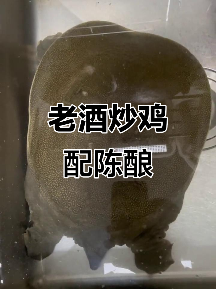 36年老酒炒水鱼土鸡,搭配26年陈酿酱香白酒