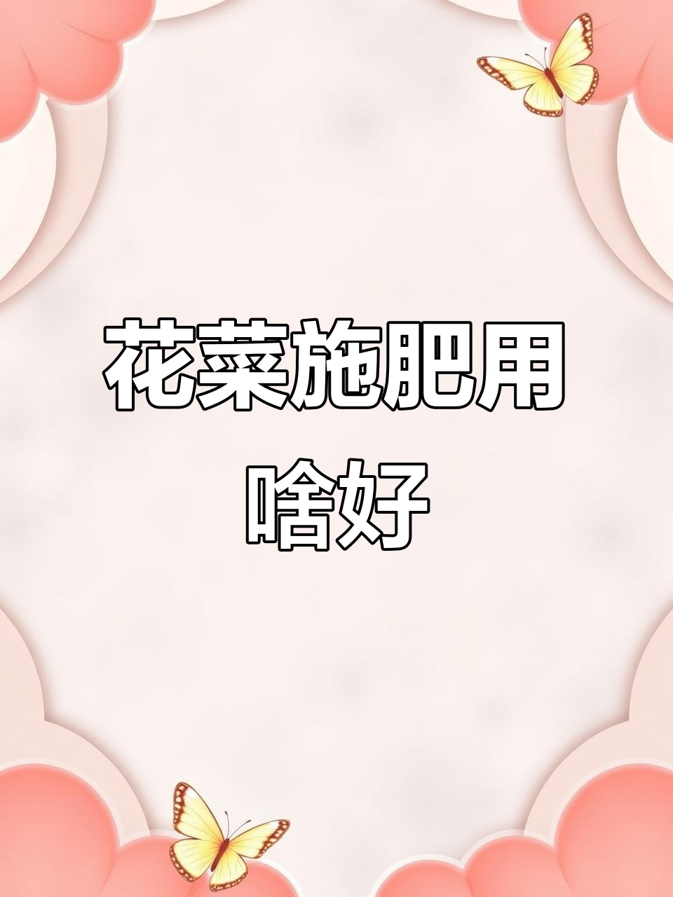 菜花种植选什么肥料?有机肥助力高产高质