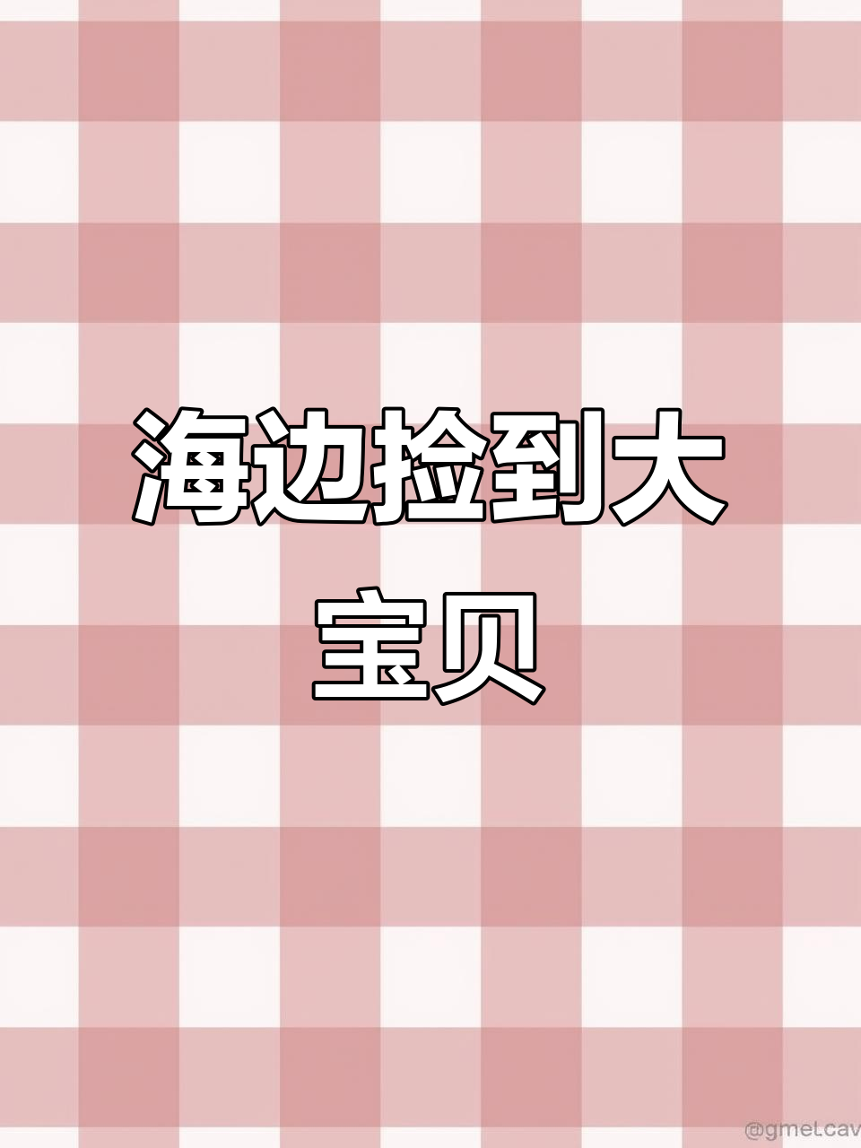 赶海发现大蚌花板鱼,棒子螺壳惊现礁石缝隙