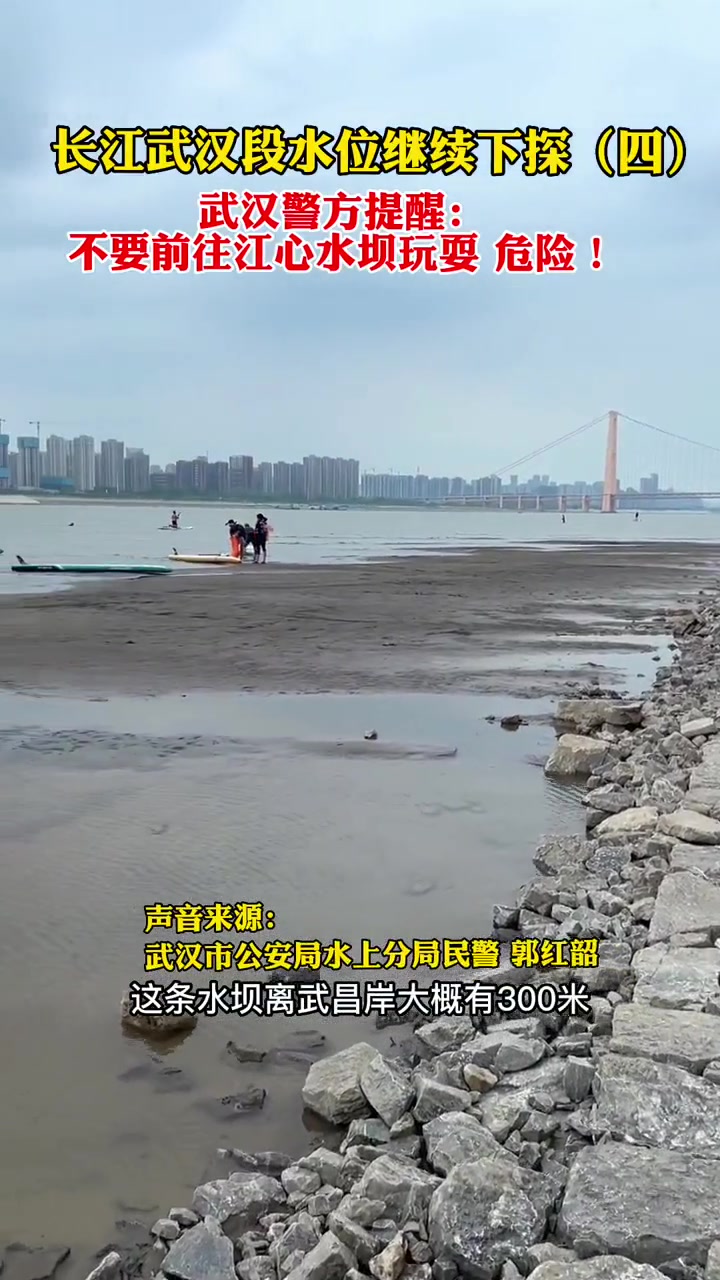 长江 鹦鹉洲长江大桥