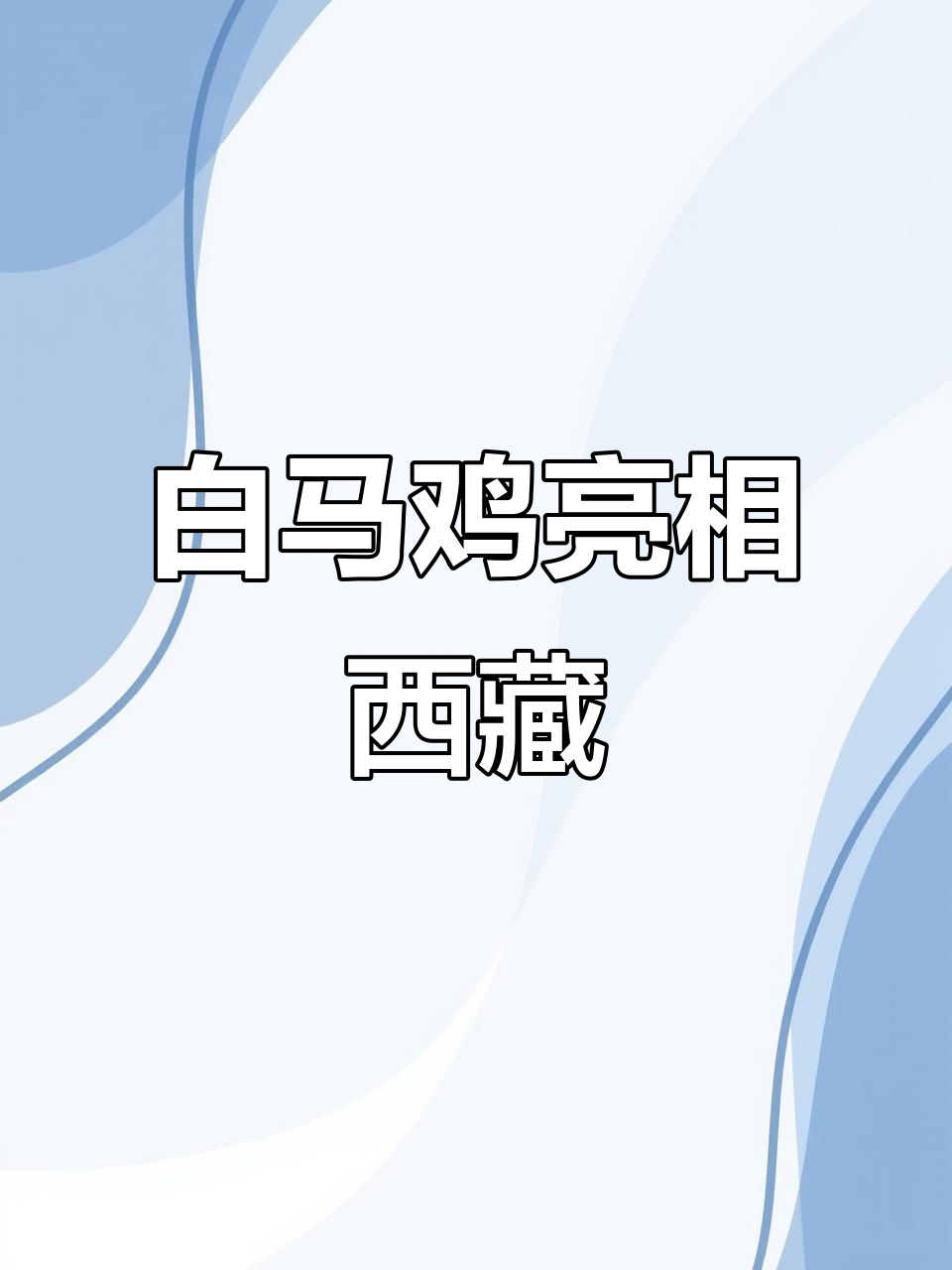 西藏白马鸡现身,二级保护动物惊艳登场