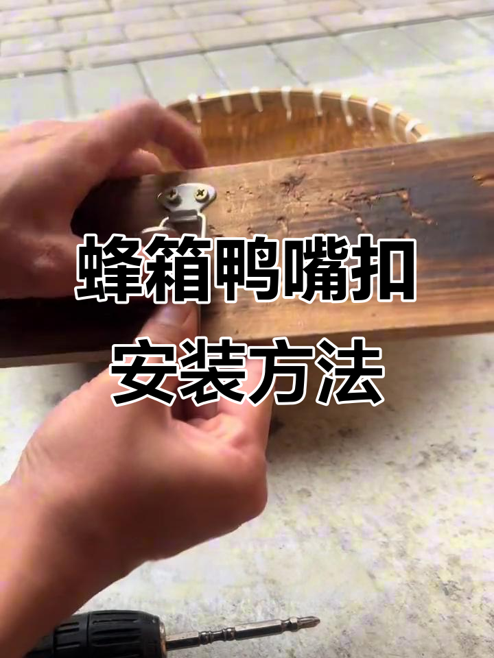 鸭嘴扣安装技巧,蜂箱连接更稳固