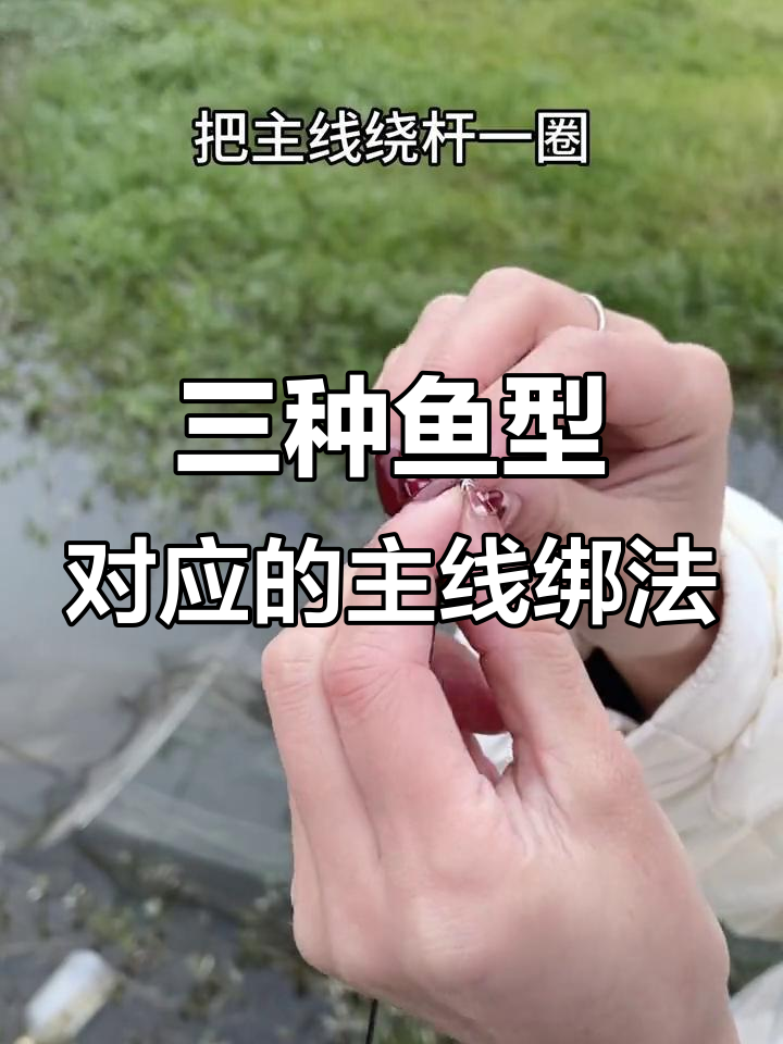 钓不同体型鱼类时,主线连接杆稍的三种绑法技巧