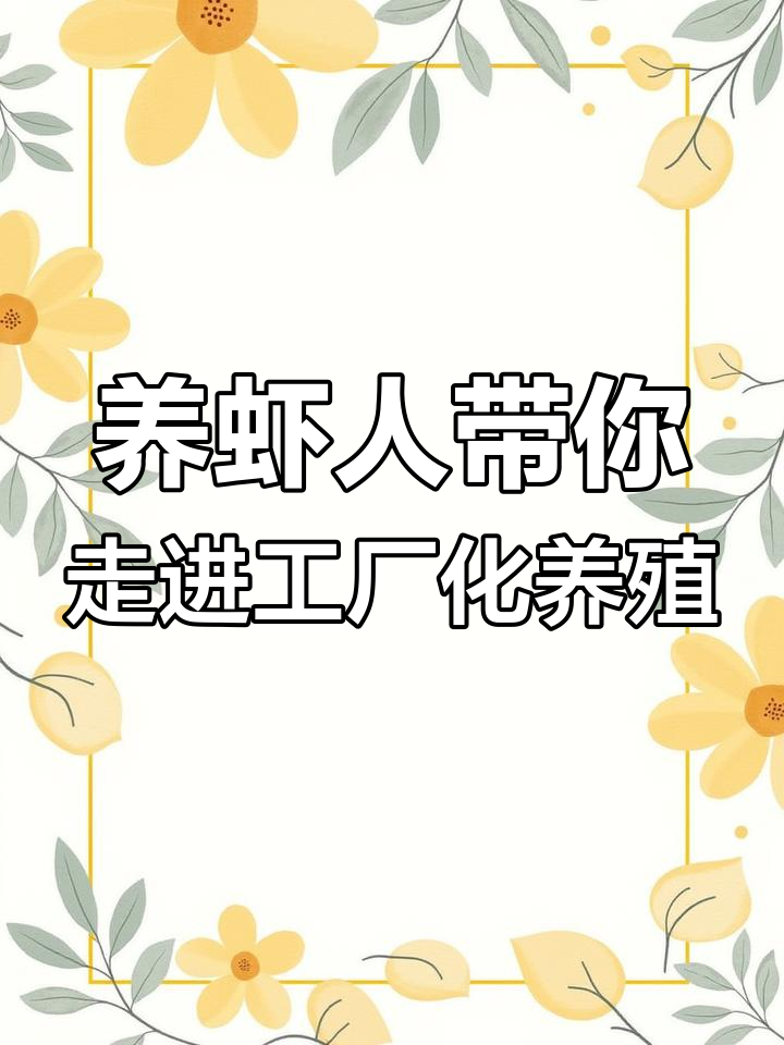 工厂化养虾与鱼菜共生:打造高效生态农场