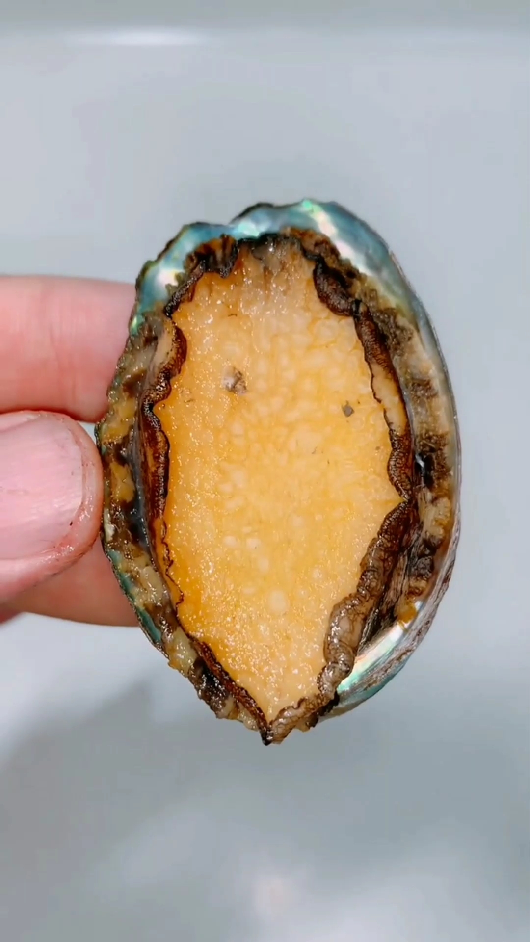 鲍鱼最正确的吃法应该是这样的