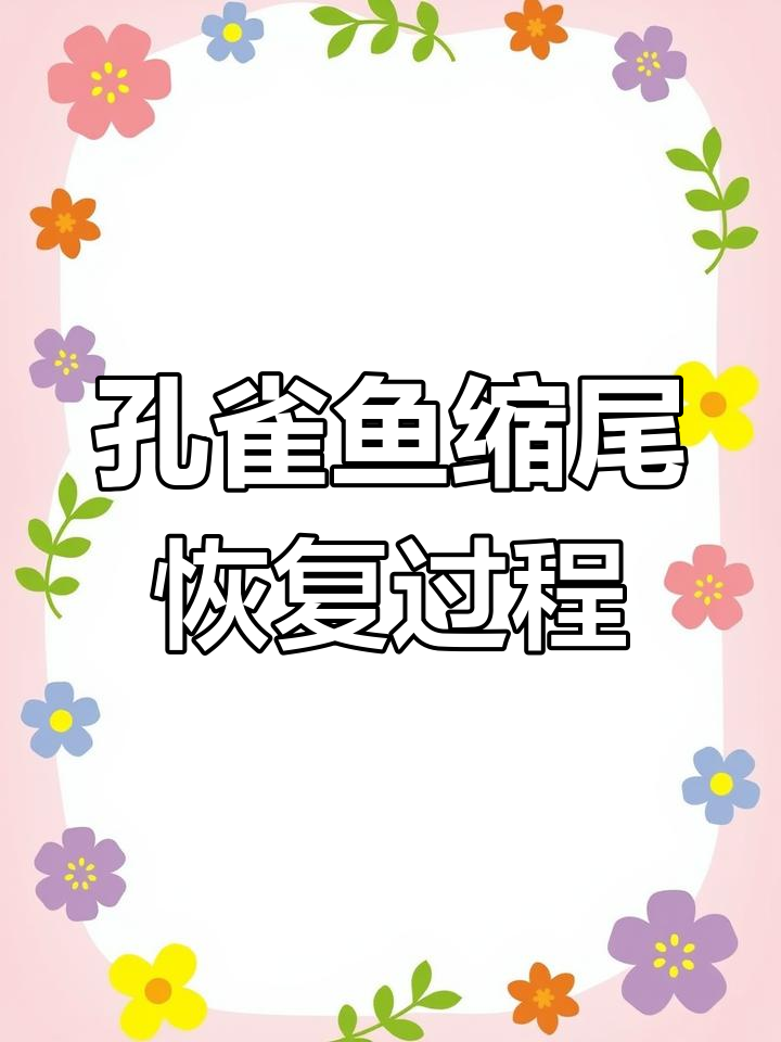 孔雀鱼缩尾治疗全过程,四天见效