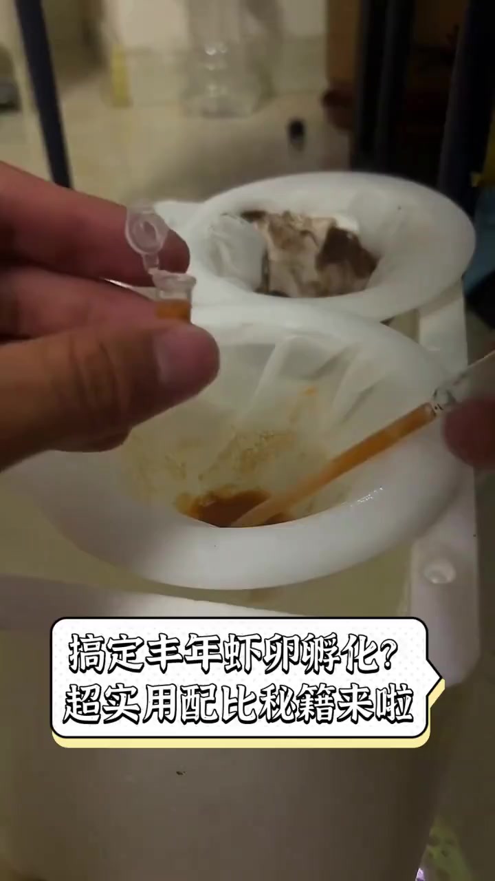 搞定丰年虾卵孵化?超实用配比秘籍来啦