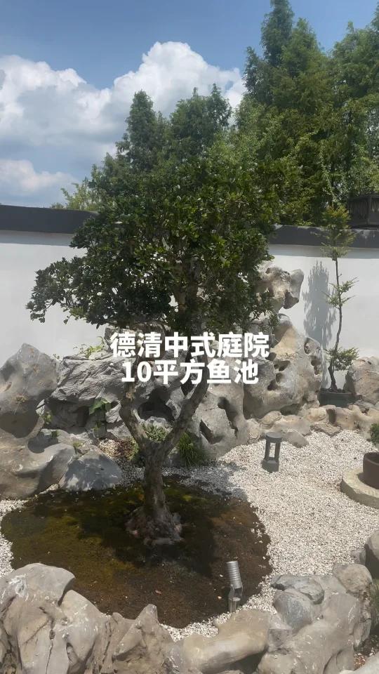 德清10平方中式庭院鱼池