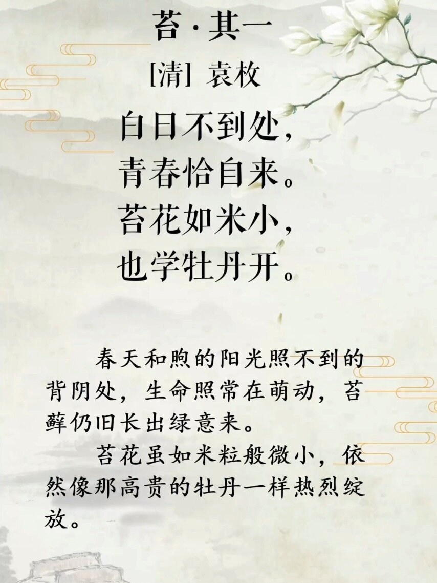 古诗词|那些惊艳我的名句(十三)