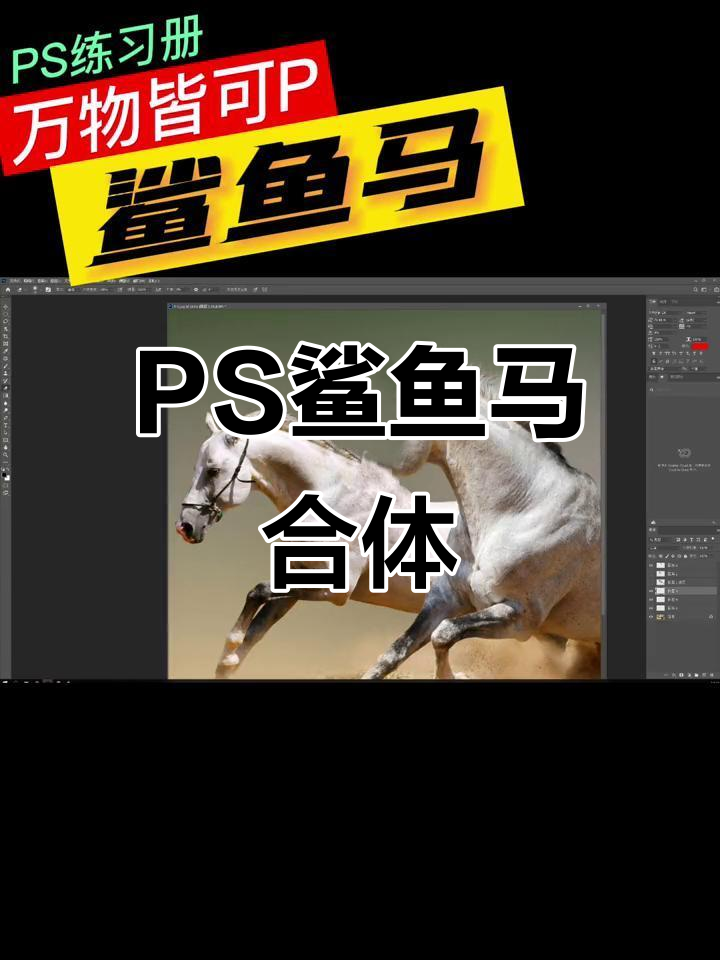 鲨鱼马大变身,PS神奇动物合成教程